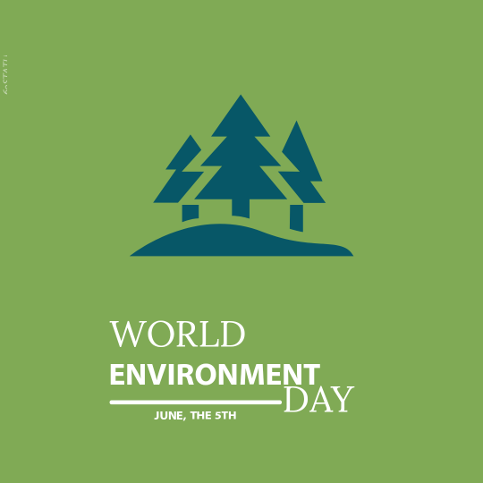World Environment Day Photo HD