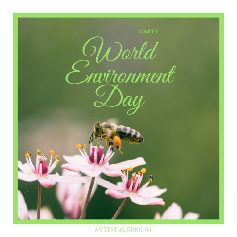 World Environment Day Pic full HD free download.