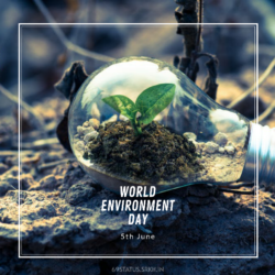 World Environment Day Pic HD