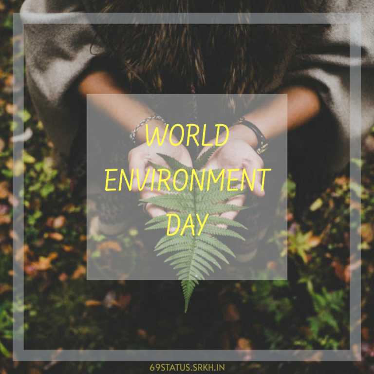World Environment Day Picture full HD free download.
