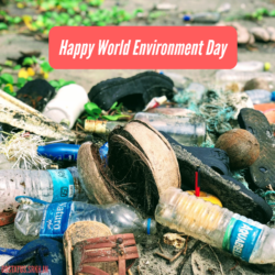 World Environment Day Plastic Pollution Image HD