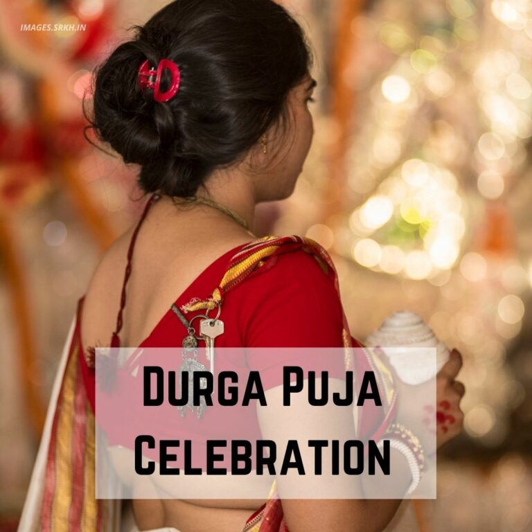 Durga Puja Celebration Images full HD free download.