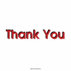 Formal Thank You Images for PPT HD