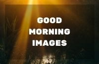 GOOD MORNING IMAGES PROMOTION full HD free download.