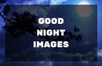 GOOD NIGHT IMAGES