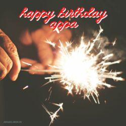 Happy Birthday Appa Images