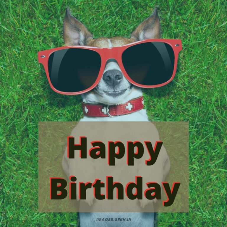 Happy Birthday Images Funny full HD free download.
