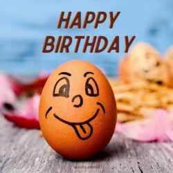 Happy Birthday Images Funny hd