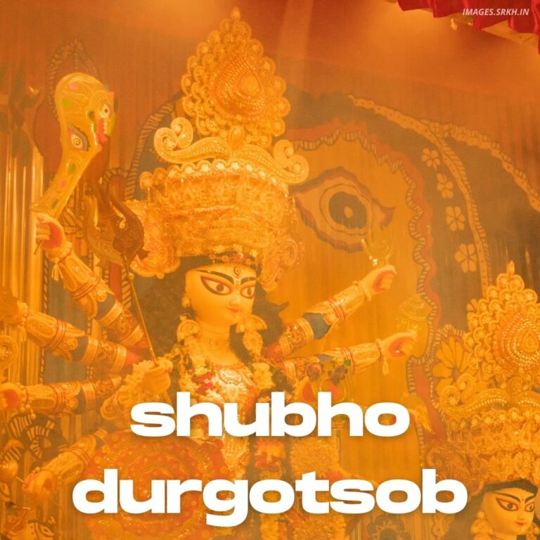 Images Of Durga Puja In Kolkata full HD free download.