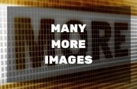 MANY MORE IMAGES