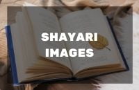 SHAYARI IMAGES