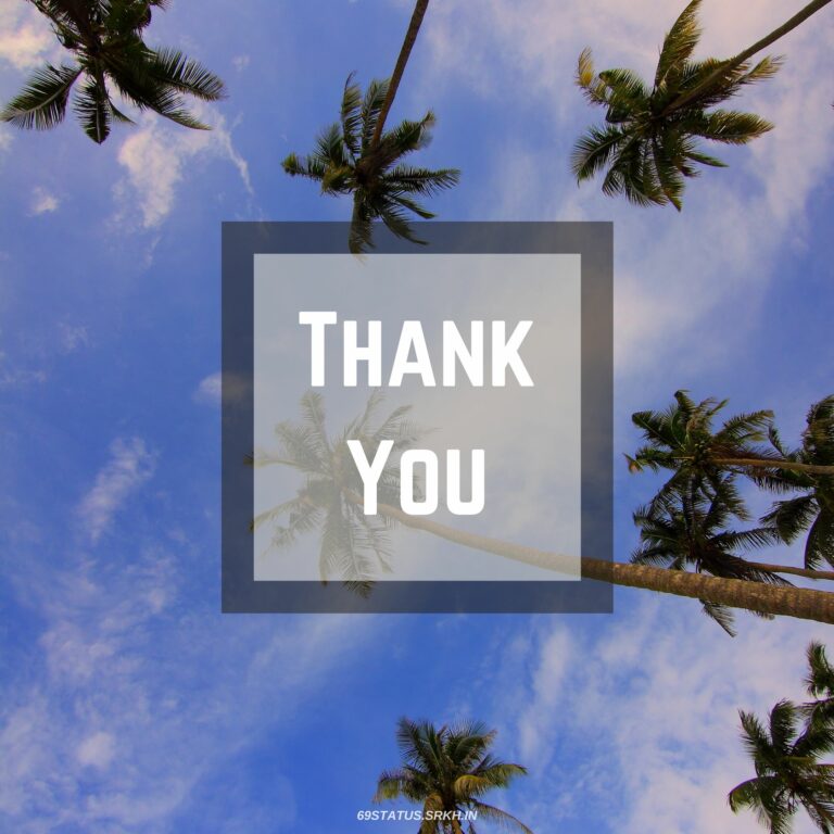 Thank You Background Images in HD full HD free download.