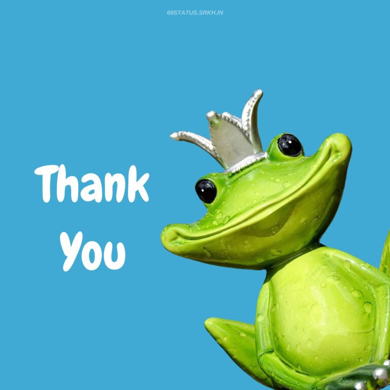 Thank You Funny Images frog full HD free download.
