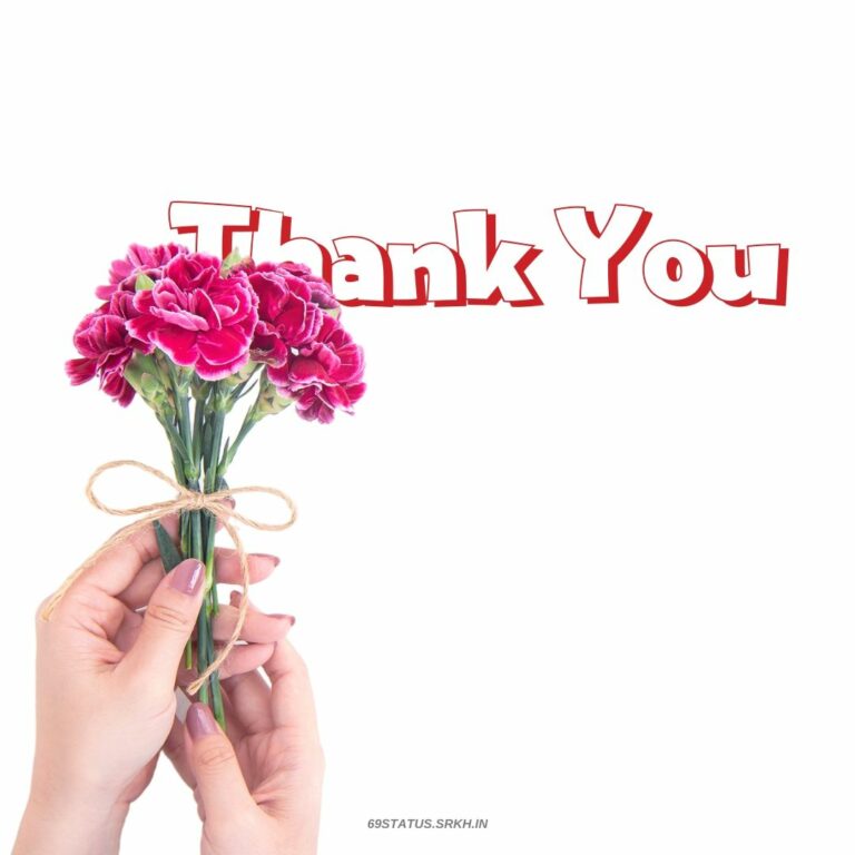 Thank You Images Pics full HD free download.
