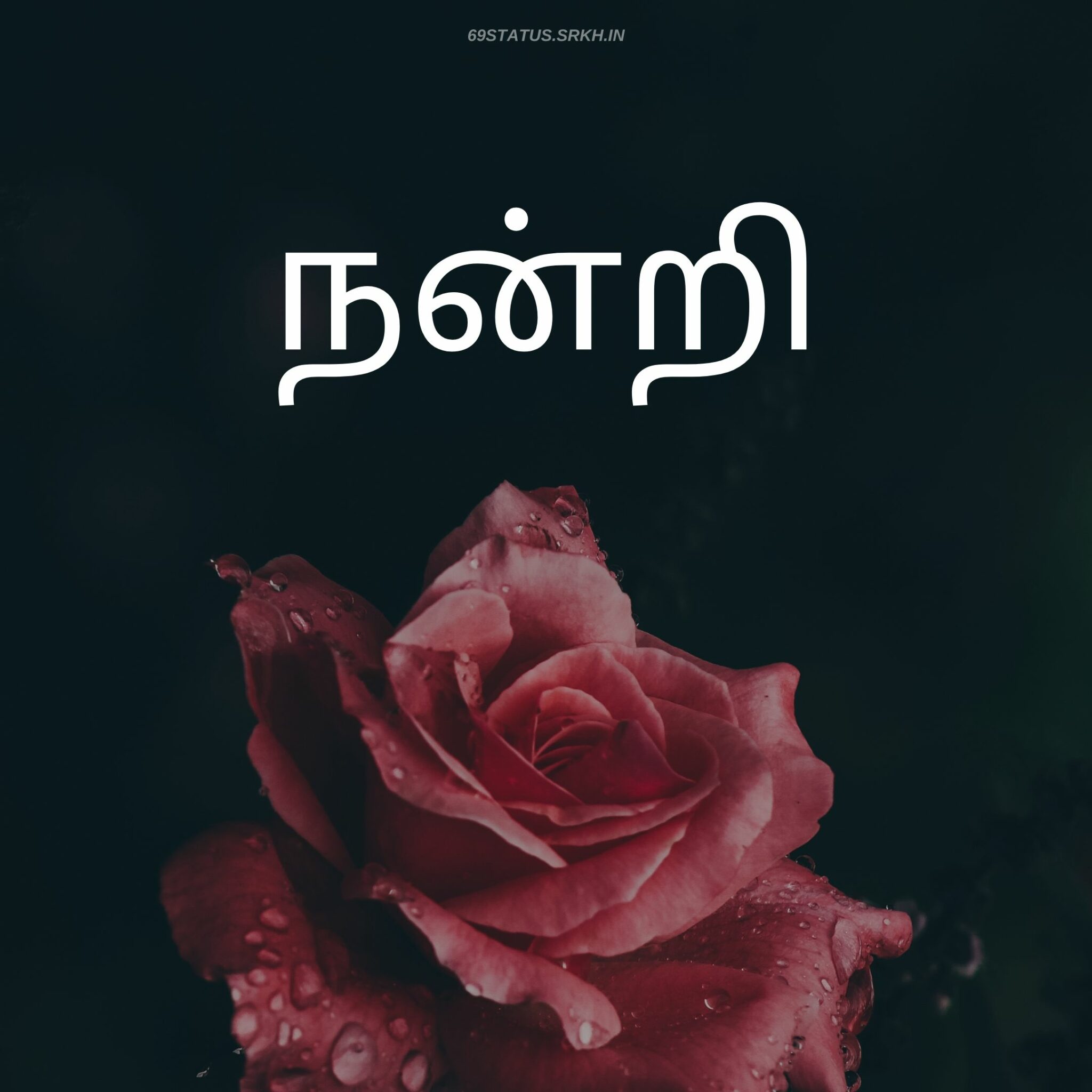 Tamil Hd Images Download