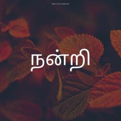 Thank You Images in Tamil in HD