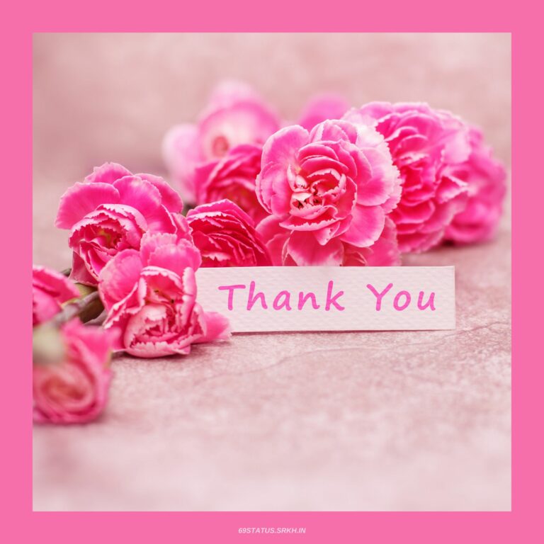 Thank You Images with Flowers HD full HD free download.