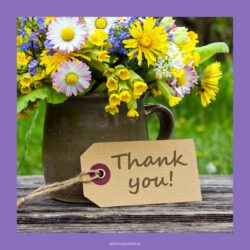 Thank You Images with Flowers in FHD
