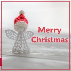Christmas Angels Images