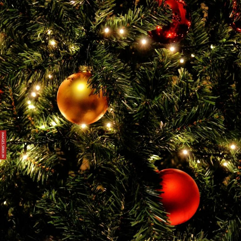 Christmas Decorations Images full HD free download.