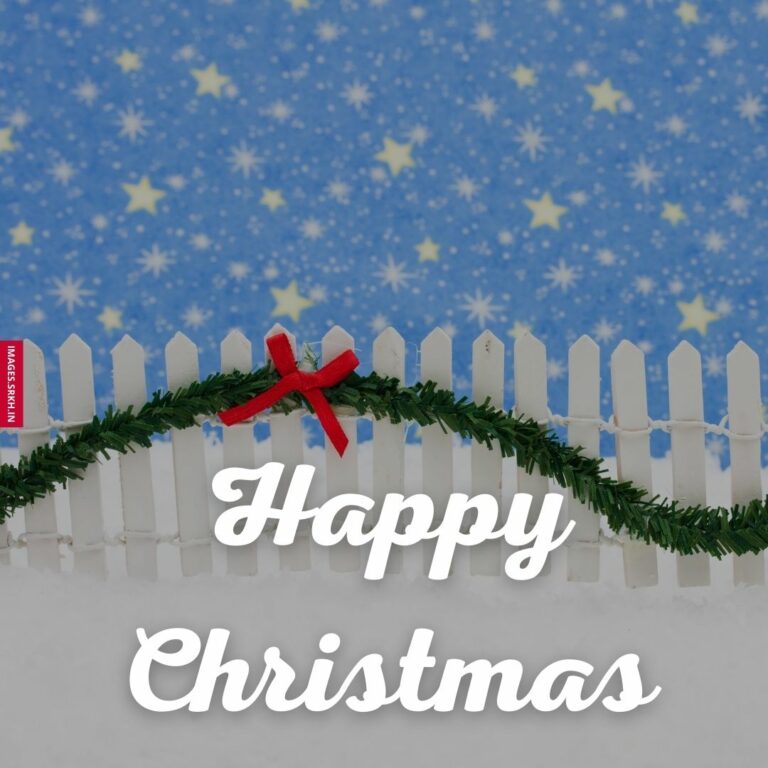 Christmas Greeting Card Images full HD free download.
