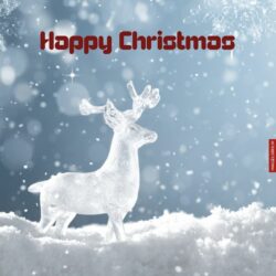 Christmas Image Free Download