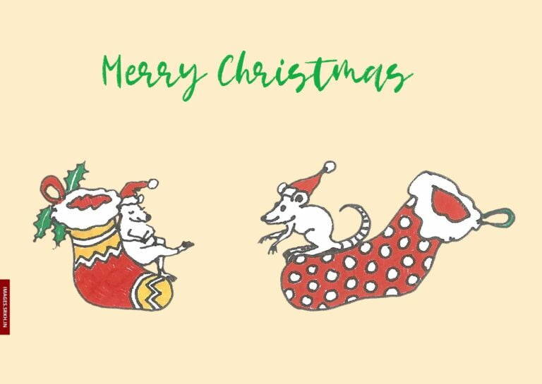Christmas Images Clip Art full HD free download.