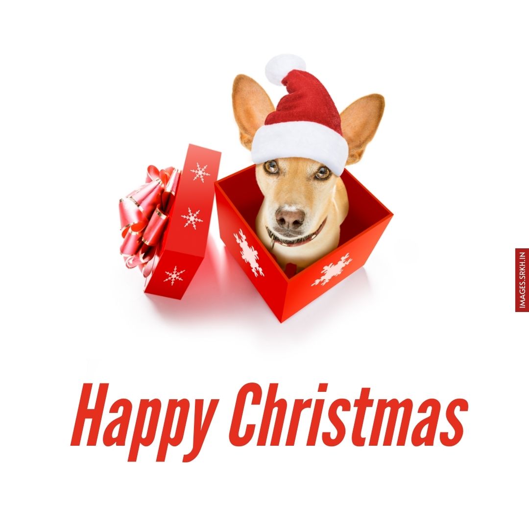 Christmas Images Free Download