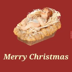 Christmas Jesus Images