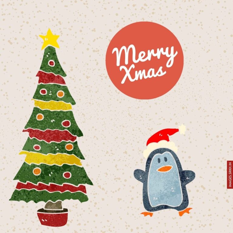 Christmas Png Image full HD free download.