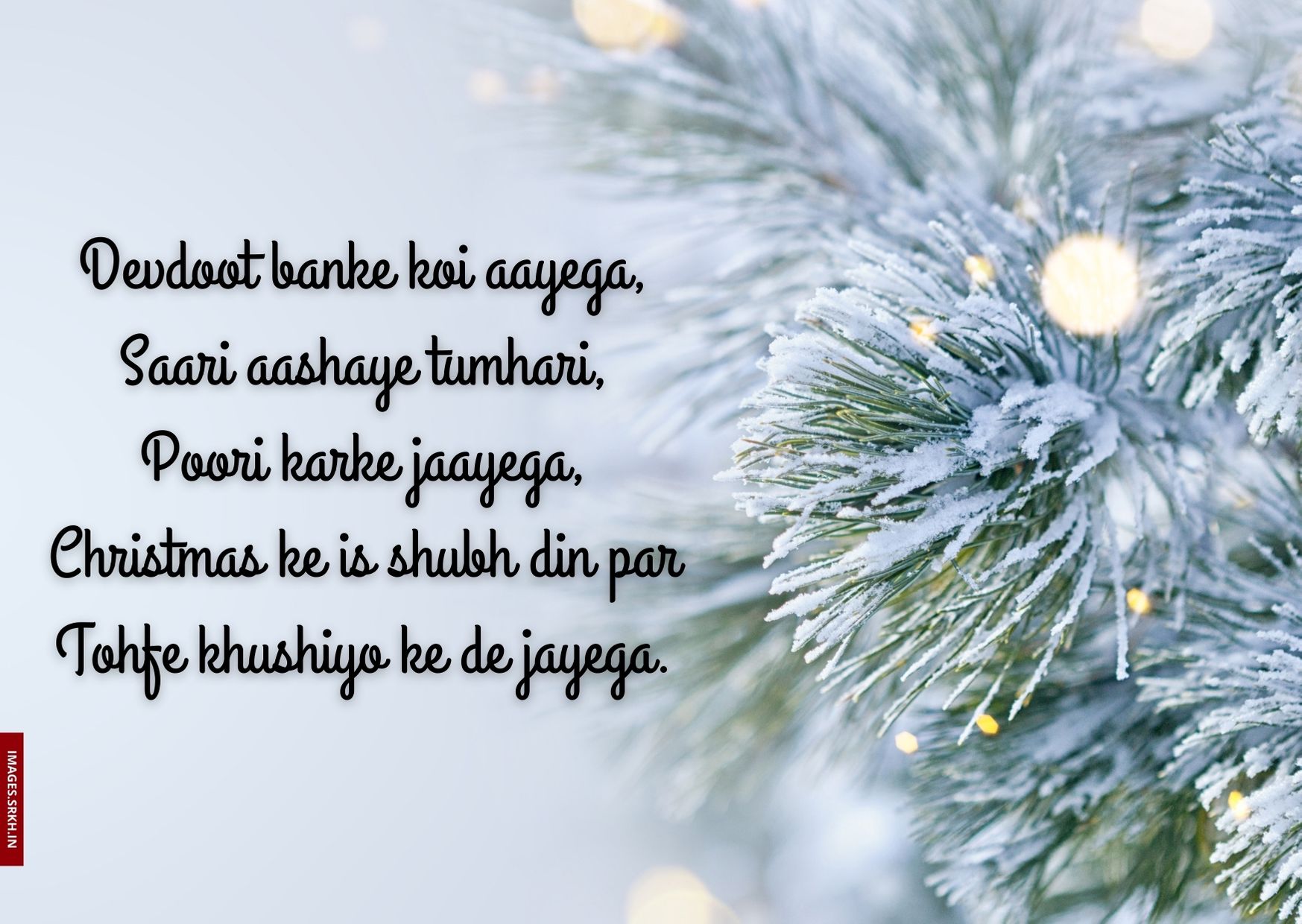 Christmas Shayari Images