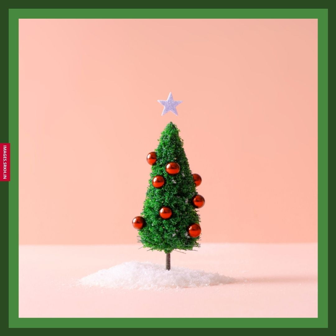 Christmas Tree Hd Images