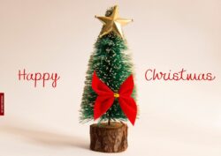 Christmas Tree Images Download