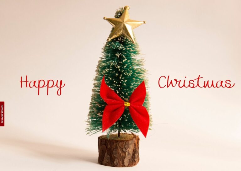 Christmas Tree Images Download full HD free download.