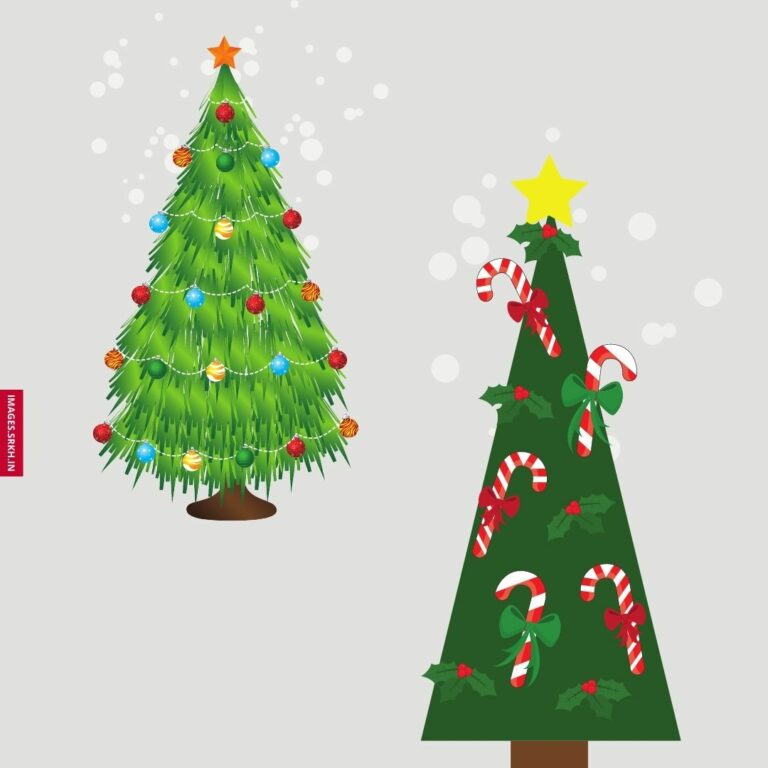 Christmas Tree Png Images full HD free download.