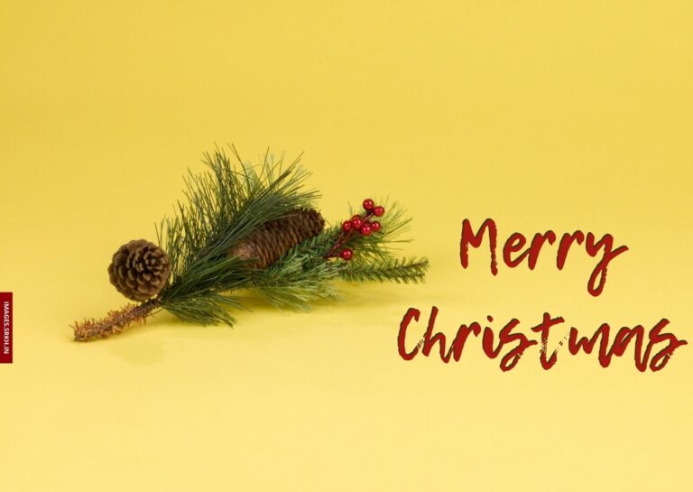Hd Images Of Merry Christmas full HD free download.