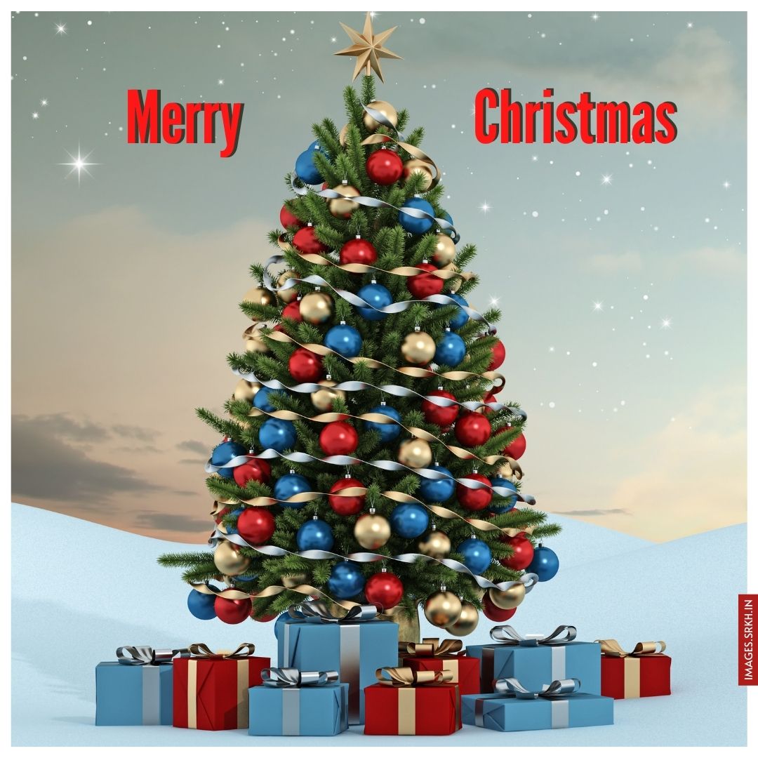 Image Of Christmas Tree
