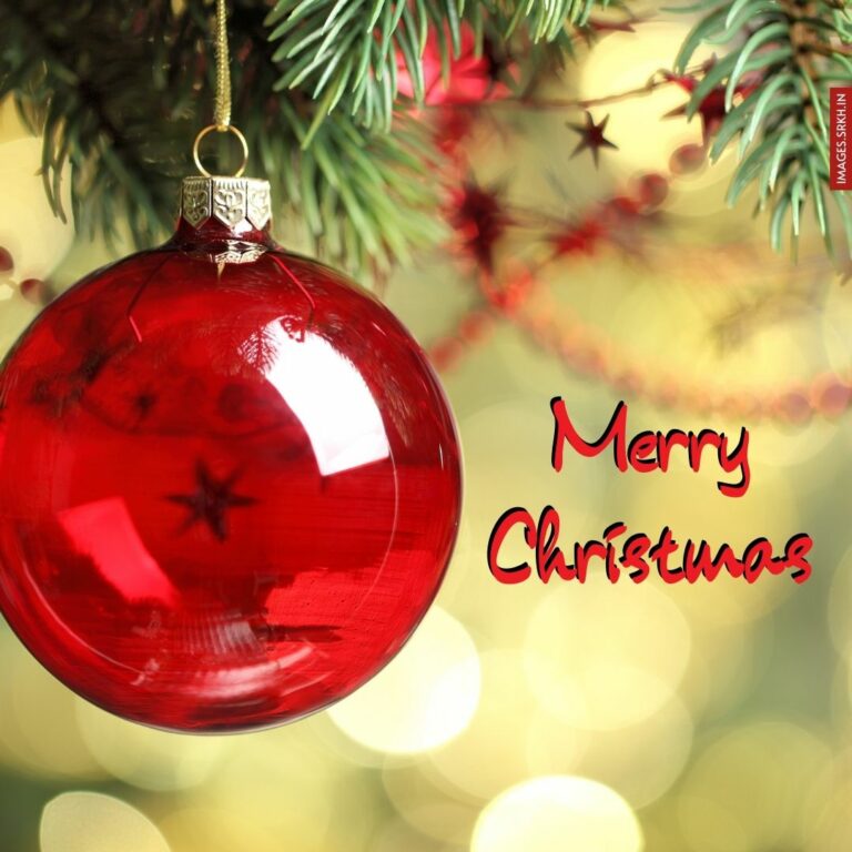 Merry Christmas Day Image Download full HD free download.