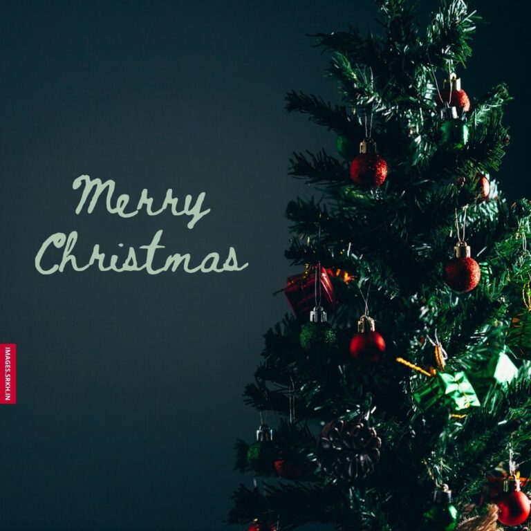 Merry Christmas Tree Images full HD free download.