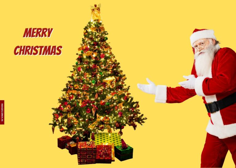 Santa Claus Images With Christmas Tree full HD free download.