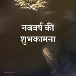 Happy New Year 2021 In Hindi