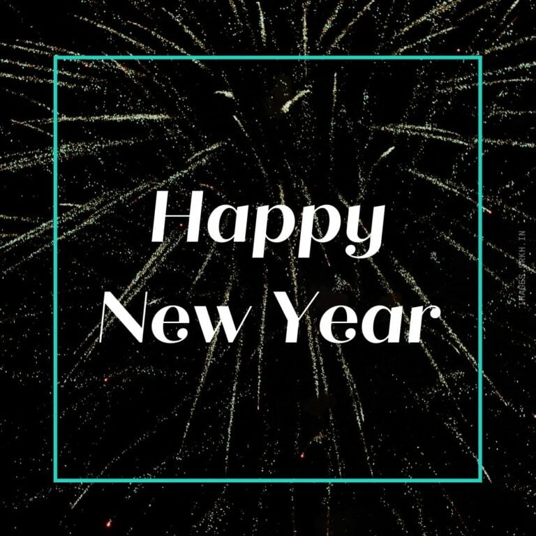 Happy New Year Message Sample full HD free download.