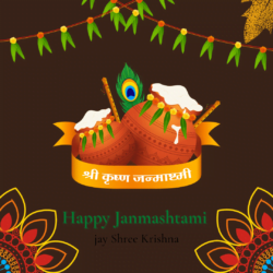 Janmashtami Decoration (2)
