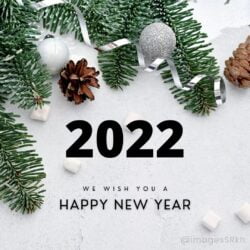Wish You Happy New Year 2022