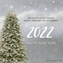 Wishes Happy New Year 2022