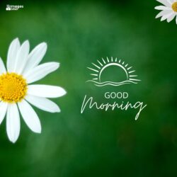 Awesome Good Morning hd Images