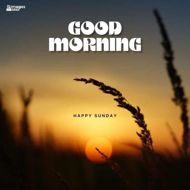 Good Morning Images With Happy Sunday full HD free download.