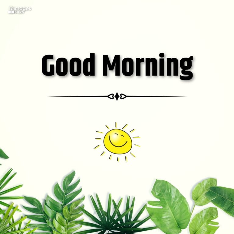 Good Morning Images With Sms full hd full HD free download.