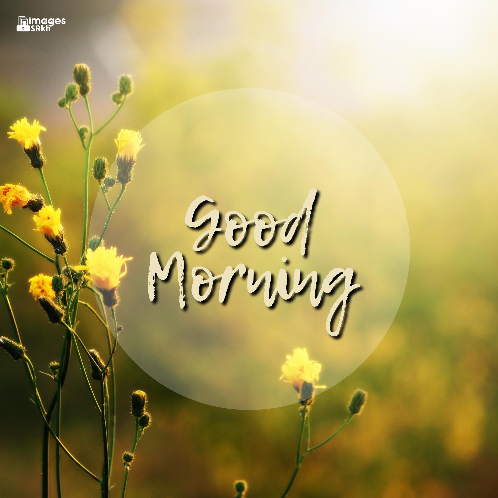 🔥 Green Nature Good Morning Images Hd Download free - Images SRkh