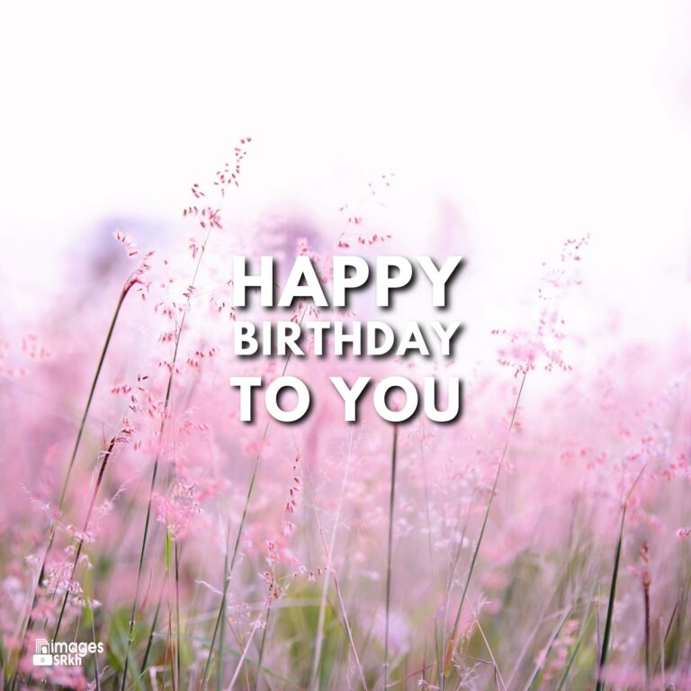 Happy Birthday Images Of Flowers full HD free download.
